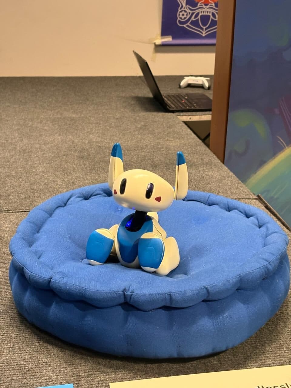 A small blue and white robot with tall ears sitting upright in a round fabric bed, on an exhibition floor.